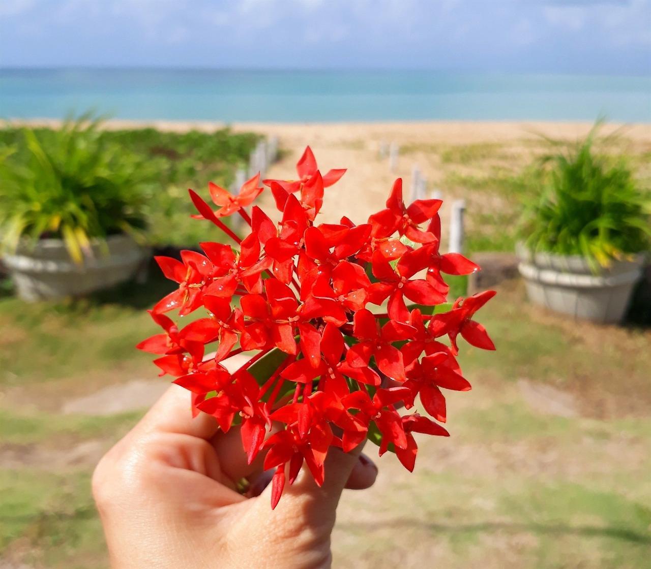 Pousada Baia Dos Corais Hotell Tamandaré Exteriör bild